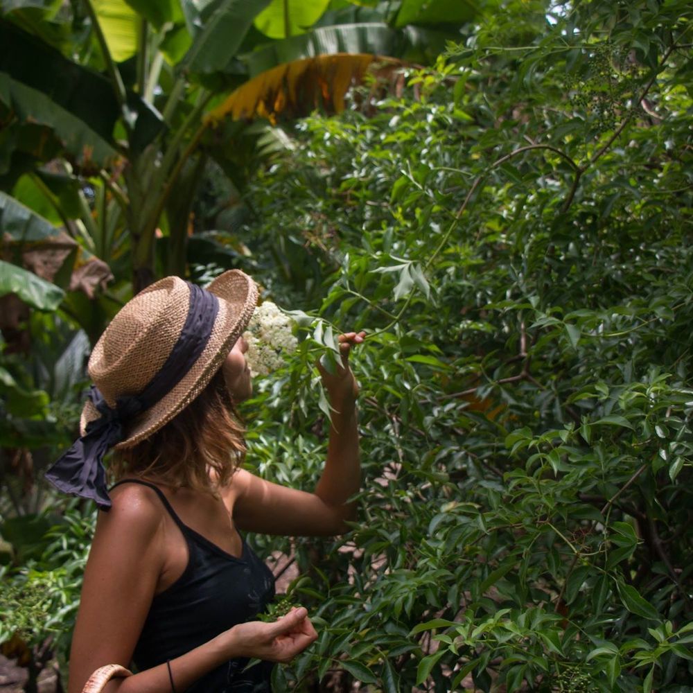 Meet your Posher, Audra